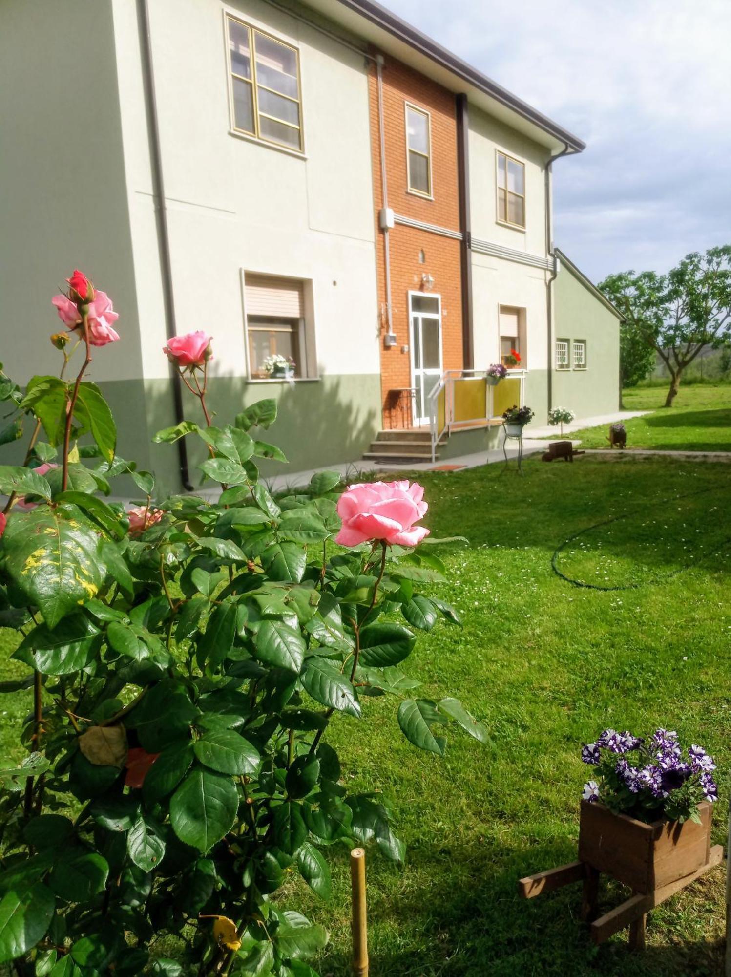 Art B&B Gli Aironi Pomposa Bagian luar foto